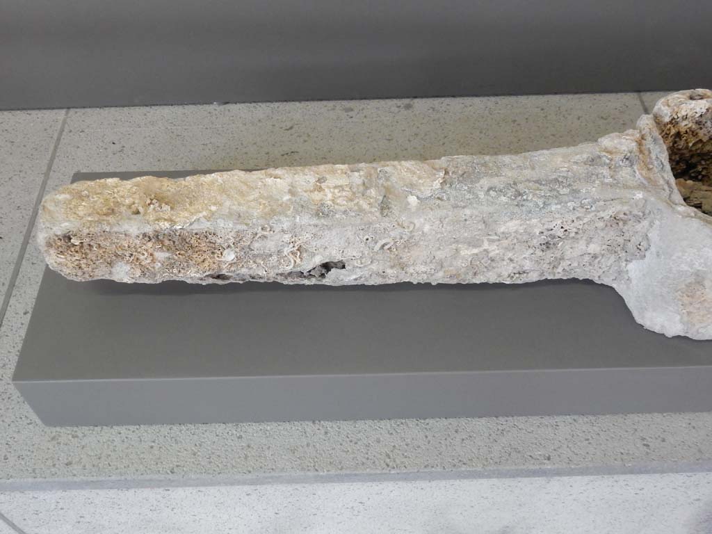 Herculaneum, June 2019. Detail of anchor found in the sea in front of Herculaneum’s seashore.
Photo courtesy of Buzz Ferebee.